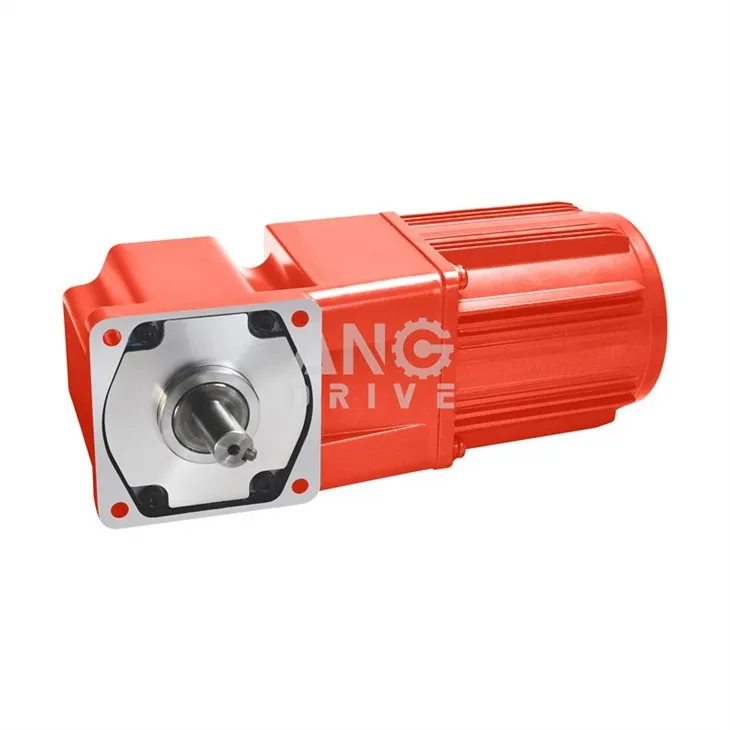 helical worm gear box motor