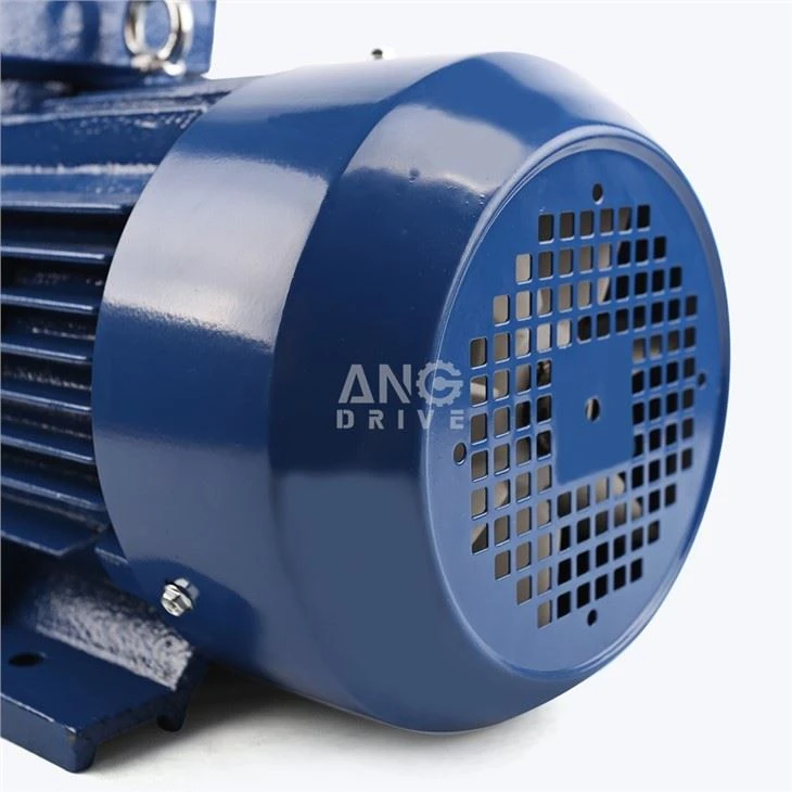0.25KW Electric Motor