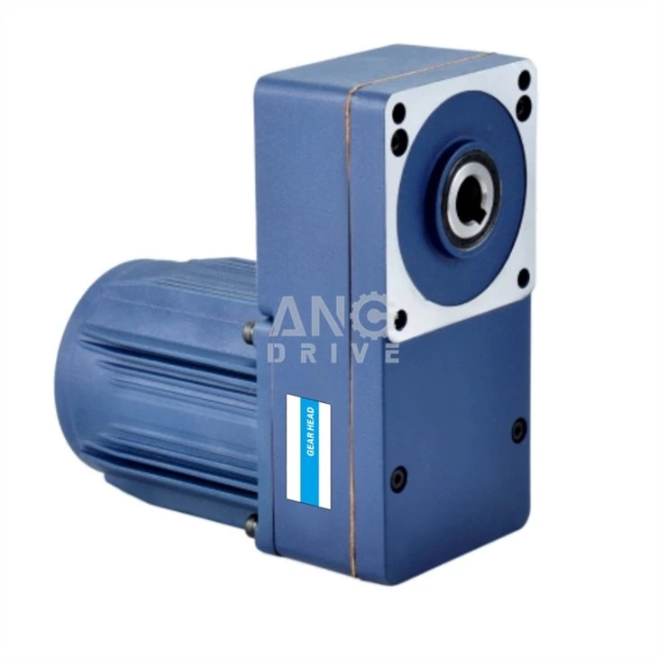 AC flat gear motor