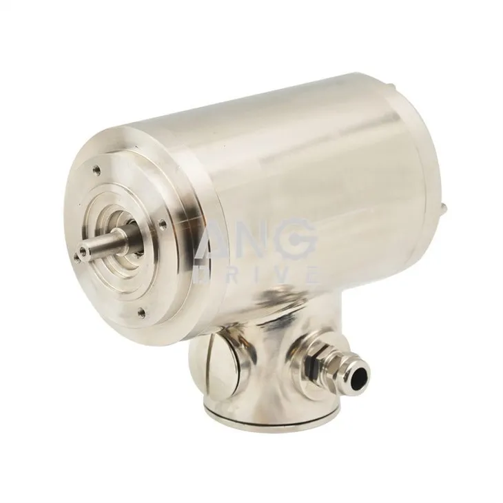 stainless steel motors